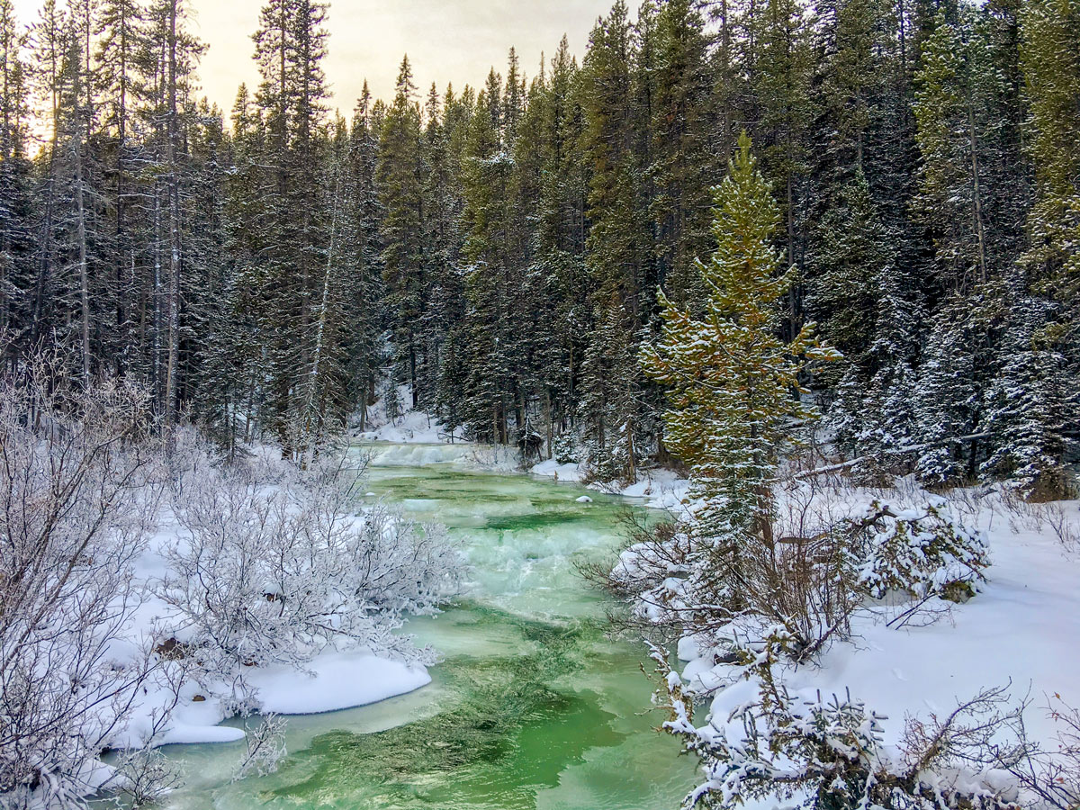 Beautiful colours of the creek on Moraine Lake Road XC ski trail in Lake Louise, Banff National Park