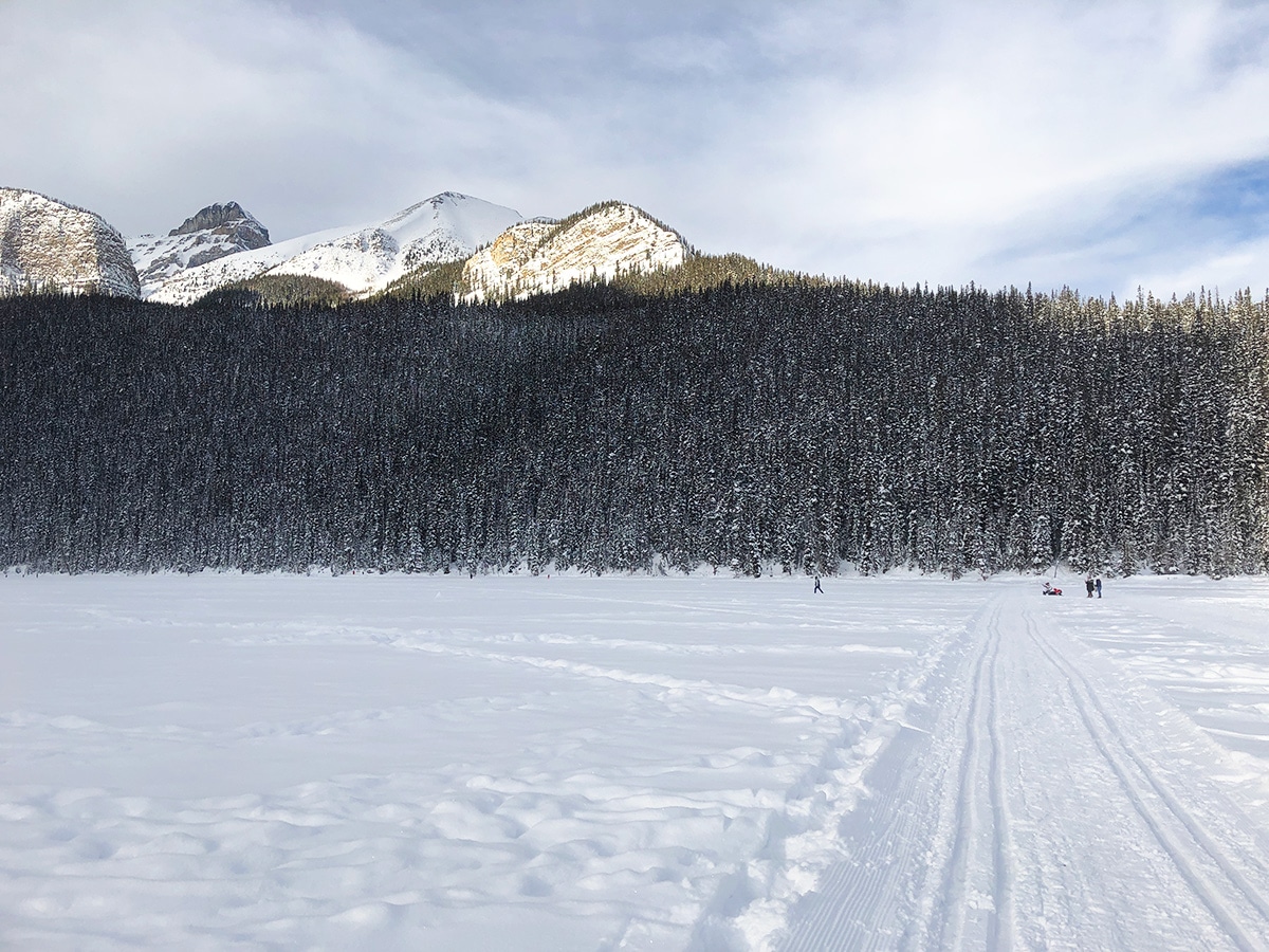 St Piran and Beehive on Lake Louise Lakeshore XC ski trail in Banff National Park
