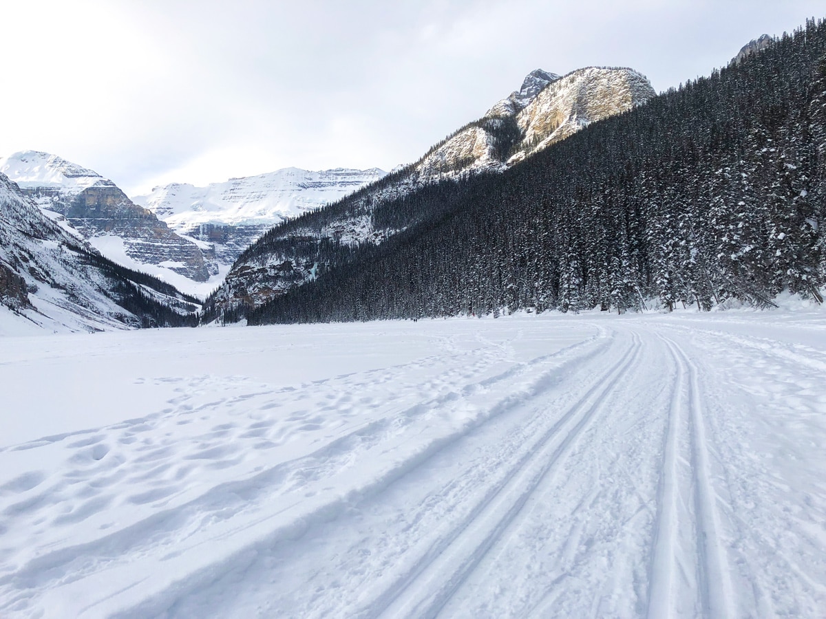 Winter on Lake Louise Lakeshore XC ski trail in Banff National Park