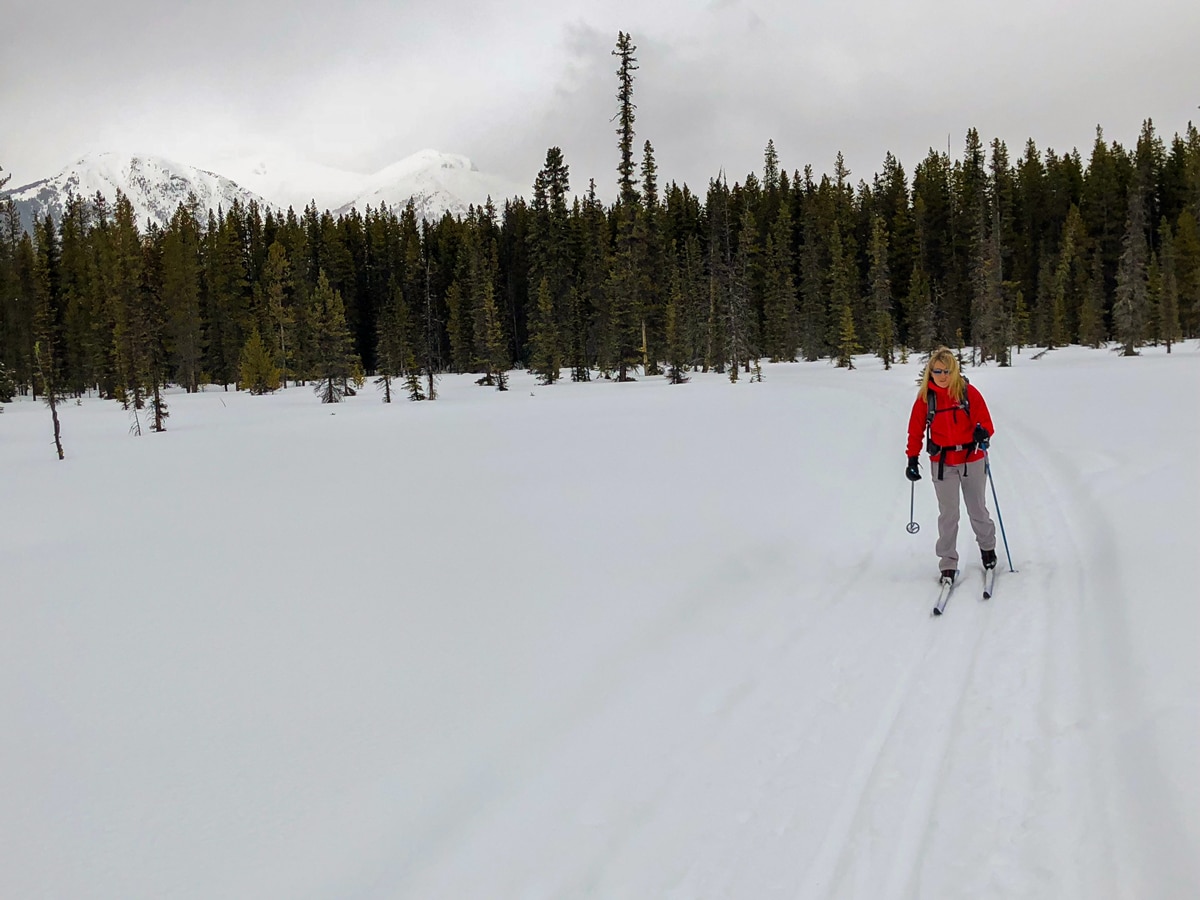 Pipestone Loop XC ski trail in Lake Louise is surrounded by beautiful snowy mountains
