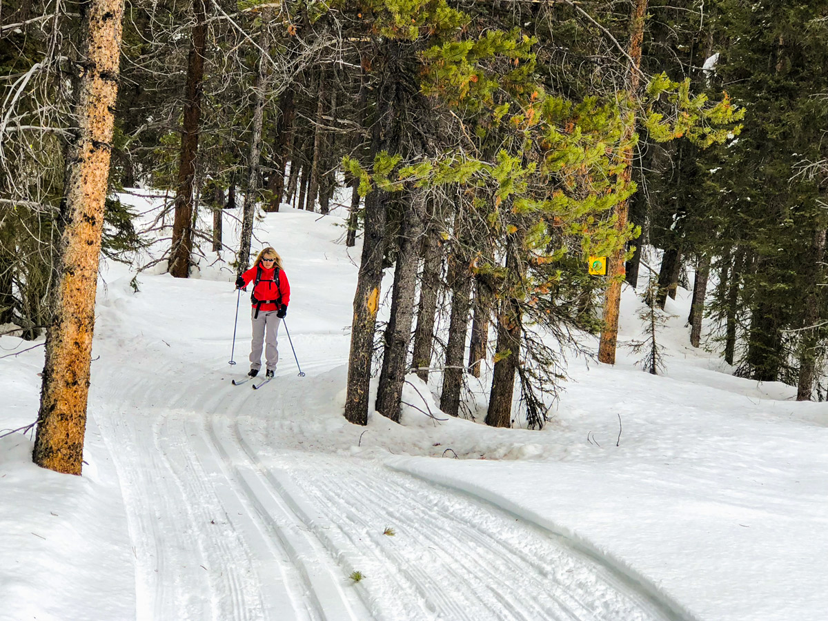 Wooded path of Pipestone Loop XC ski trail in Lake Louise, Banff National Park