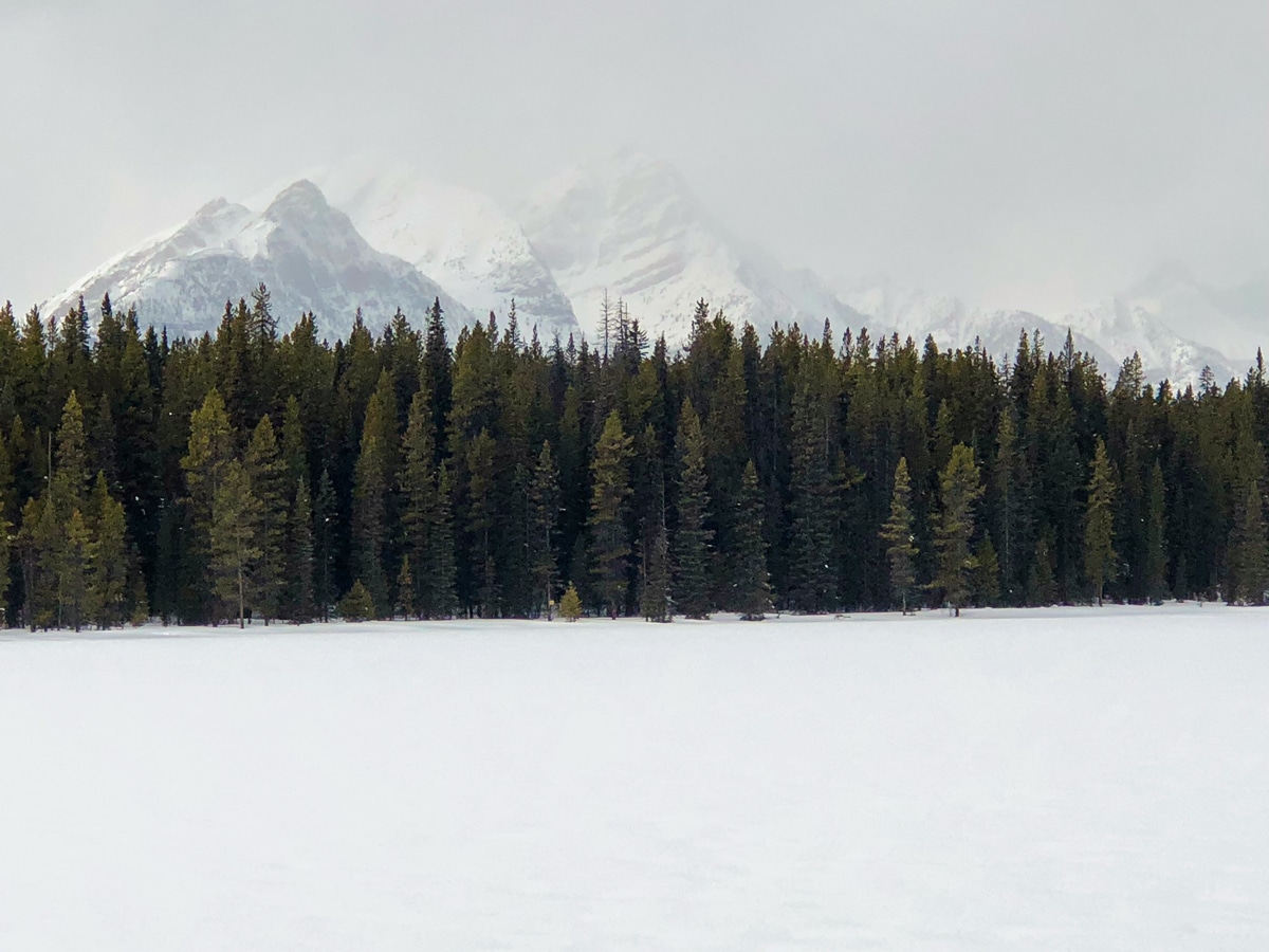 View across the lake on Pipestone Loop XC ski trail in Lake Louise, Banff National Park