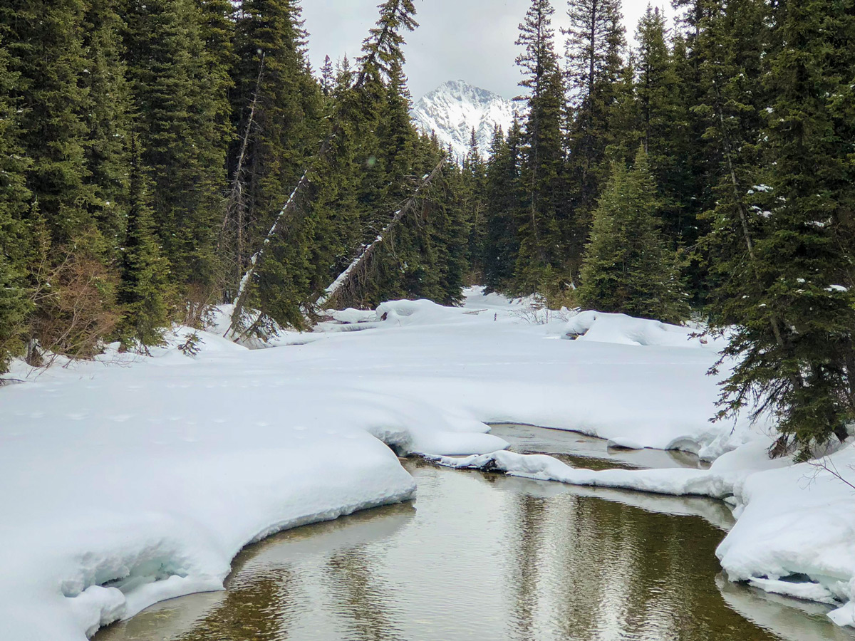 Views of Redearth Creek XC ski trail from Lake Louise, Banff National Park, Alberta