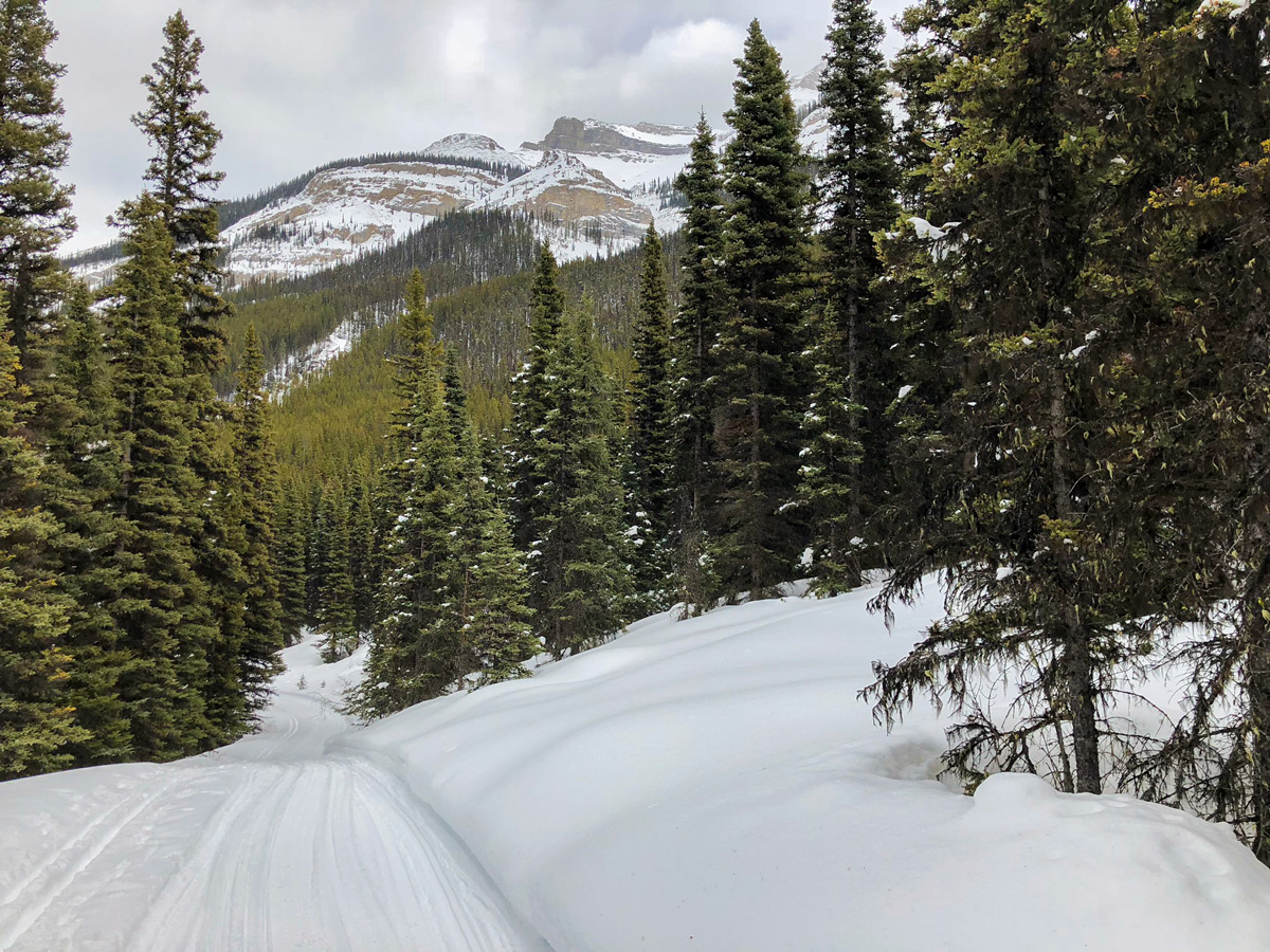 Track of Redearth Creek XC ski trail from Lake Louise, Banff National Park, Alberta