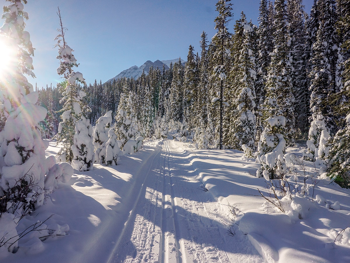 XC Skiing along the Bow River Loop in Lake Louise January