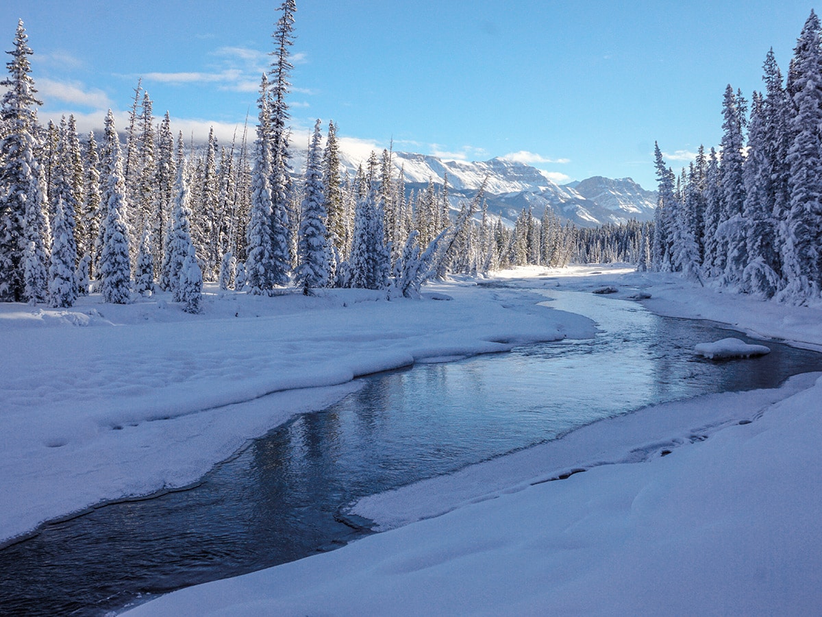 Pretty panorama on Chateau to Village on Tramline and Bow River XC ski trail in Lake Louise, Banff National Park