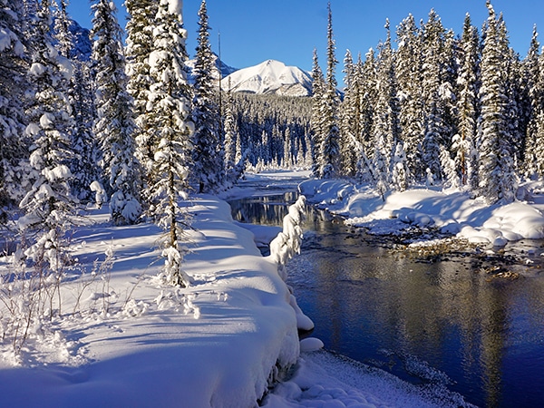 Scenery of Chateau to Village on Tramline and Bow River XC ski trail in Banff National Park, Alberta