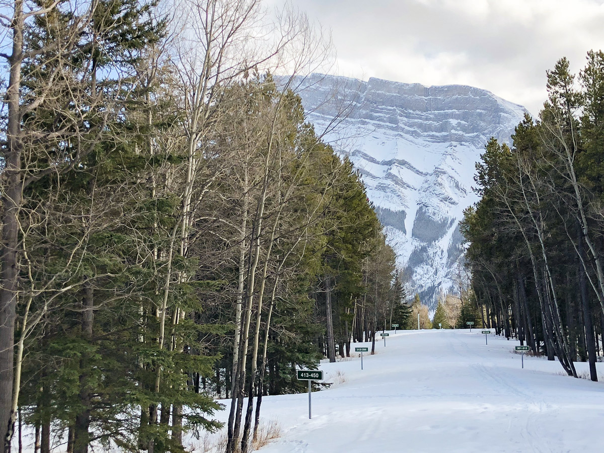 Beautiful views on Tunnel Mountain XC ski trail in Banff, Alberta