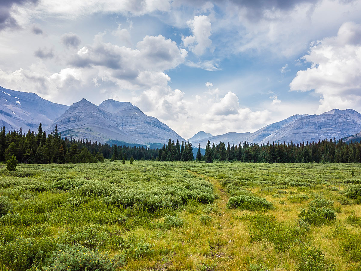 Meadows on Cairn Pass backpacking trail in Jasper National Park