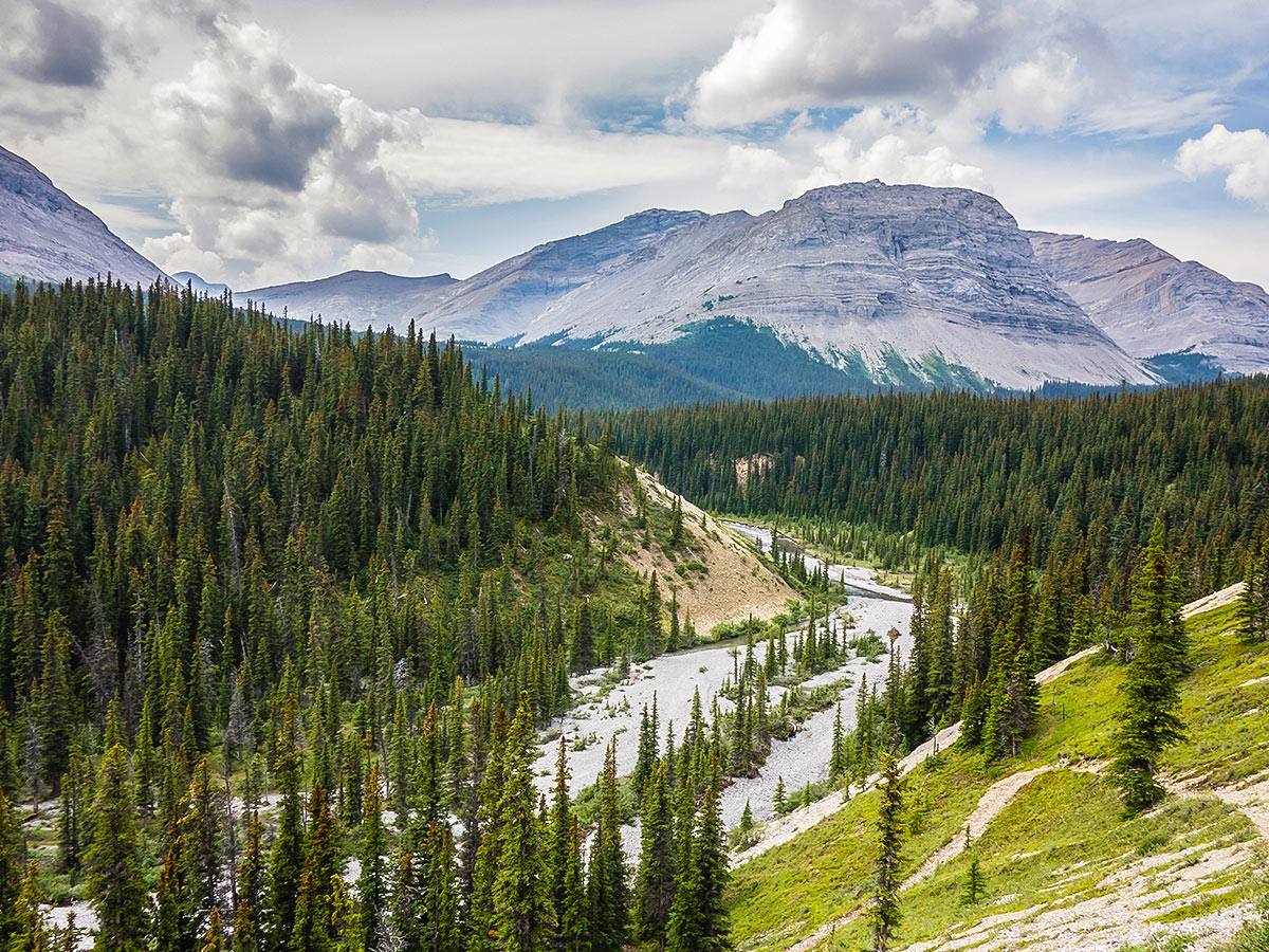 Cardinal River on Cairn Pass backpacking trail in Jasper National Park