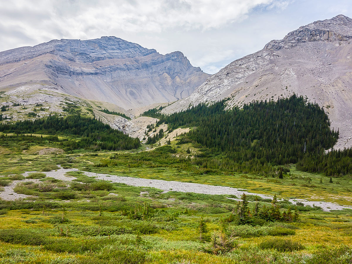 Mount Cardinal on Cairn Pass backpacking trail in Jasper National Park