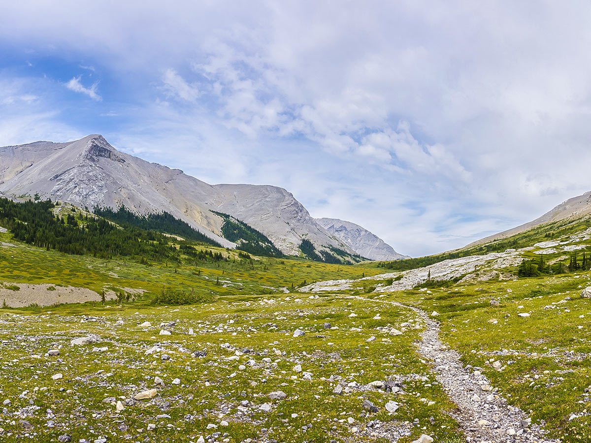 Rocky Pass on Cairn Pass backpacking trail in Jasper National Park