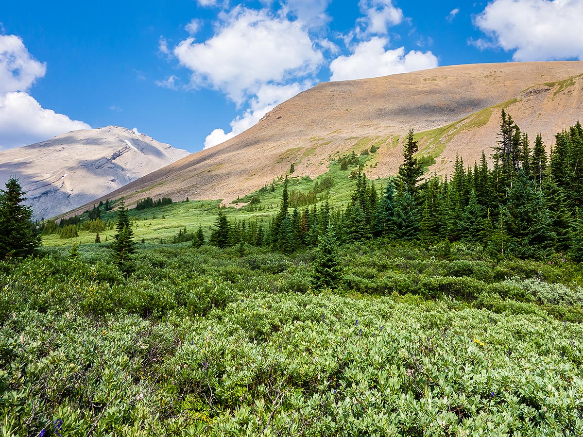 Cairn Pass backpacking trail in Jasper National Park has amazing panorama