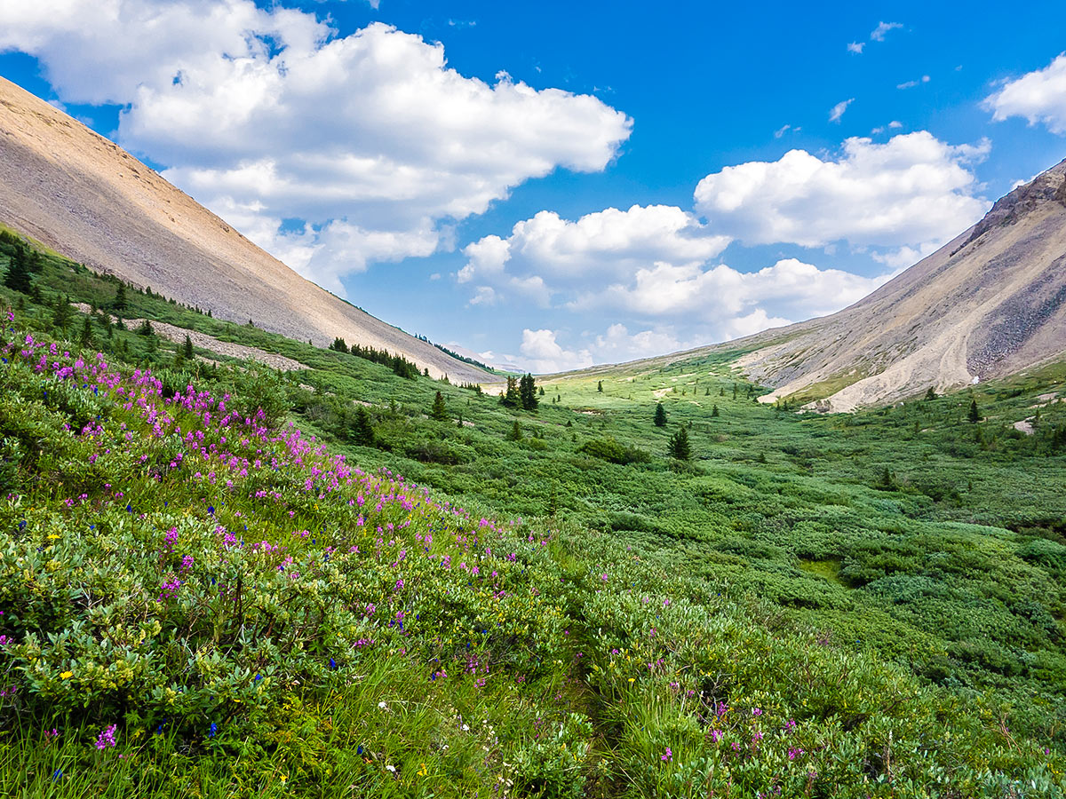 Great views from Cairn Pass backpacking trail in Jasper National Park