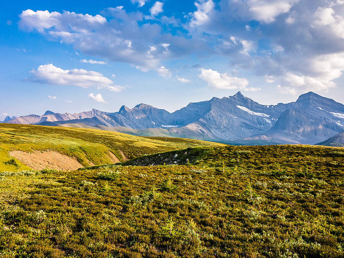 Stunning views on Cairn Pass backpacking trail in Jasper National Park