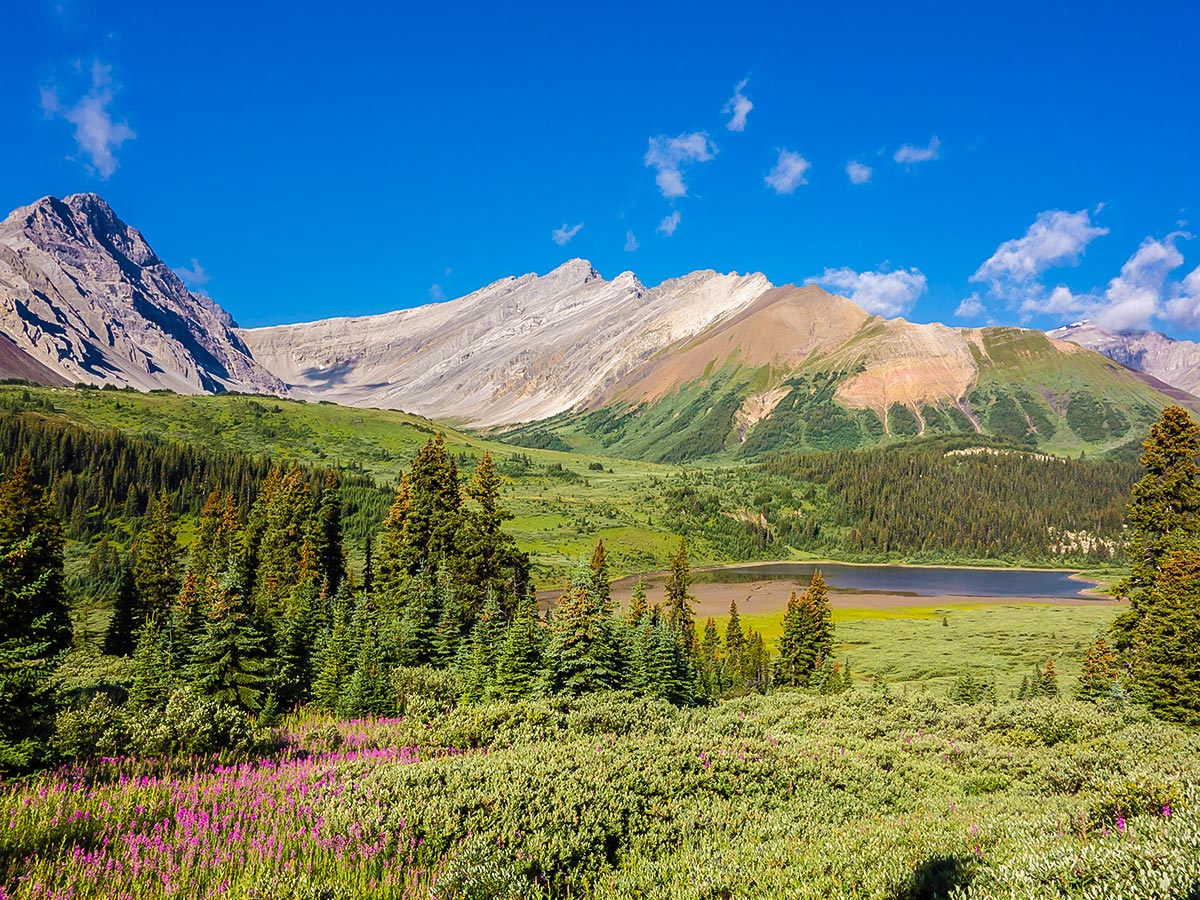 Medicine Tent Lake on Cairn Pass backpacking trail in Jasper National Park