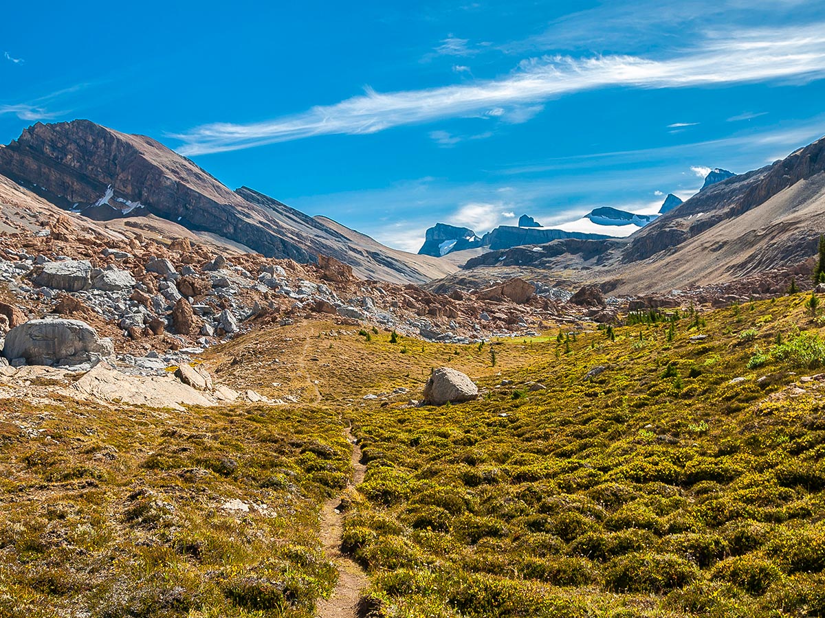 Wonderful panorama on Nigel, Cataract and Cline Pass backpacking trail in Jasper National Park