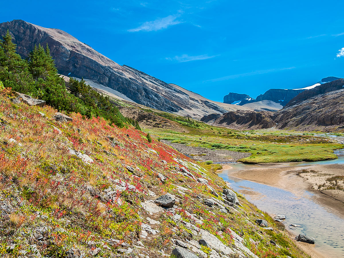 Scenic views of Nigel, Cataract and Cline Pass backpacking trail in Jasper National Park
