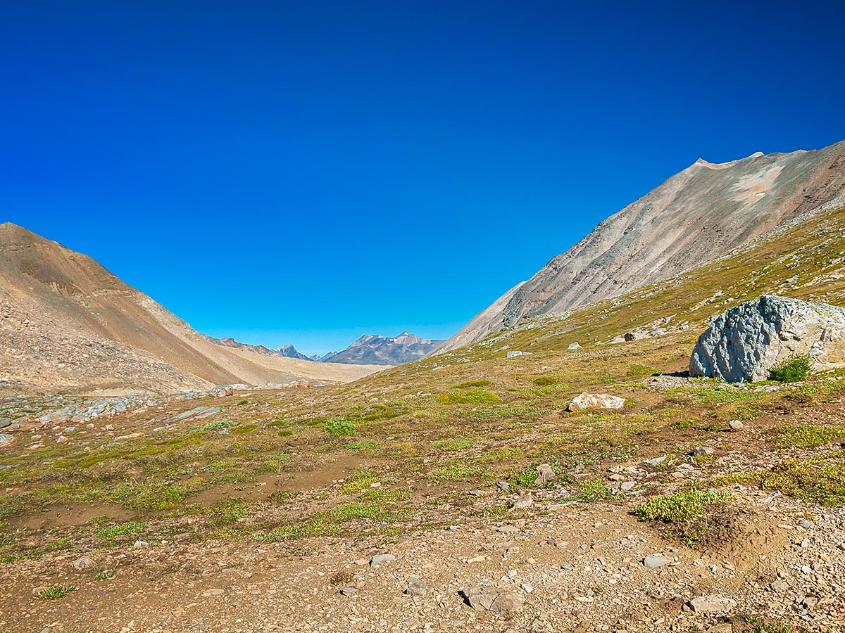 View north from Cline Pass on Nigel, Cataract and Cline Pass backpacking trail in Jasper National Park