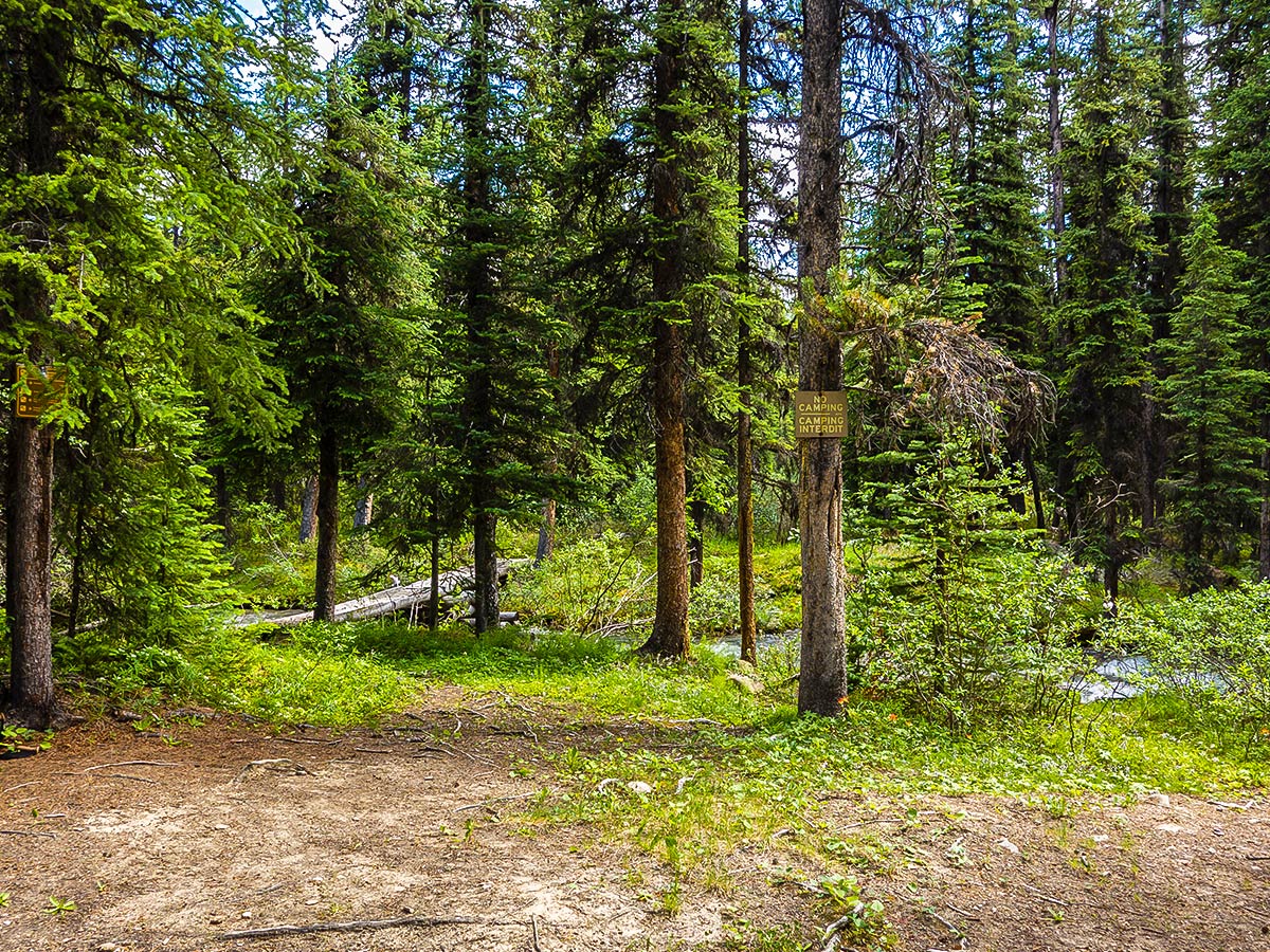 Intersection on Maligne Pass and Replica Peak backpacking trail in Jasper National Park