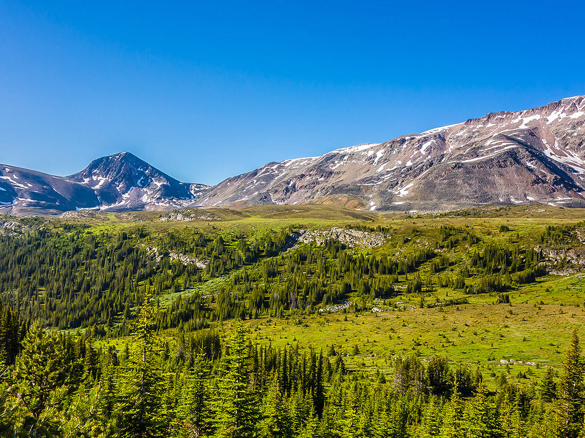 Endless Chain Ridge on Maligne Pass and Replica Peak backpacking trail in Jasper National Park