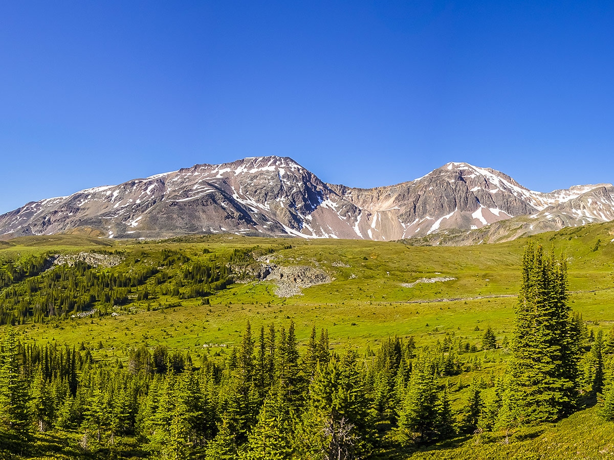 Alpine Meadows on Maligne Pass and Replica Peak backpacking trail in Jasper National Park