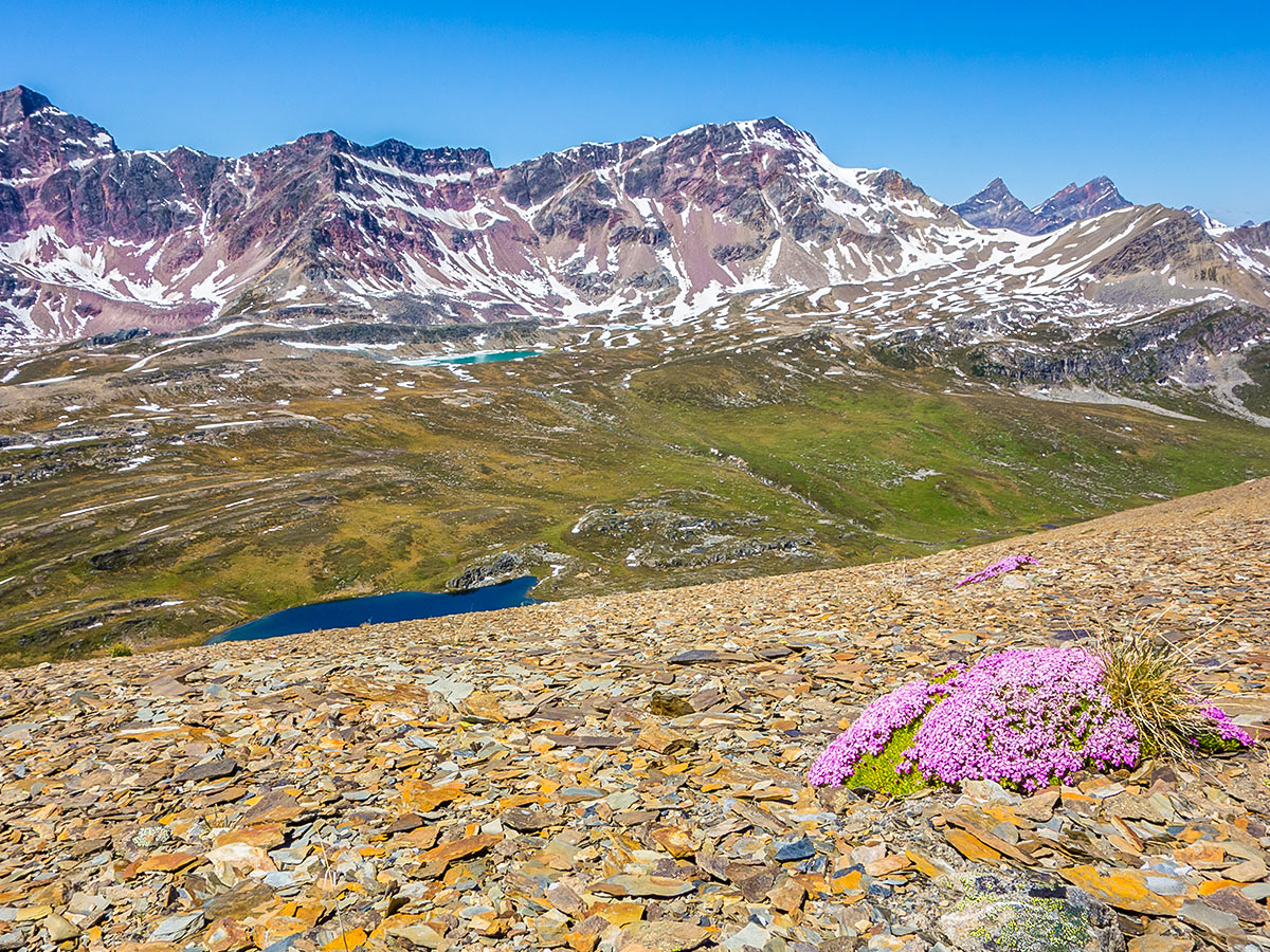 Stunning Canadian Rocky Mountains as seen from Maligne Pass and Replica Peak backpacking trail in Jasper National Park