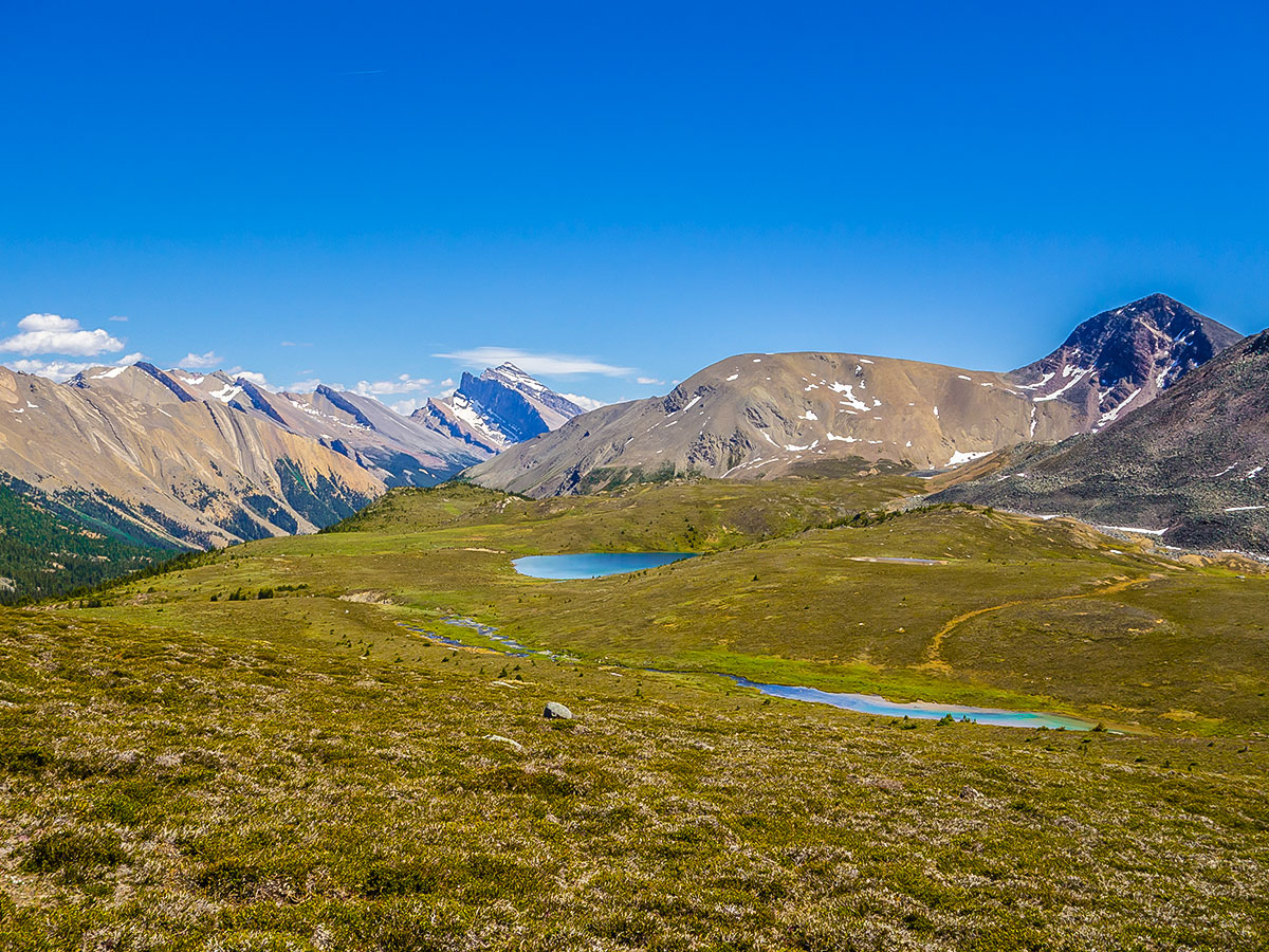 Little blue lake on Maligne Pass and Replica Peak backpacking trail in Jasper National Park