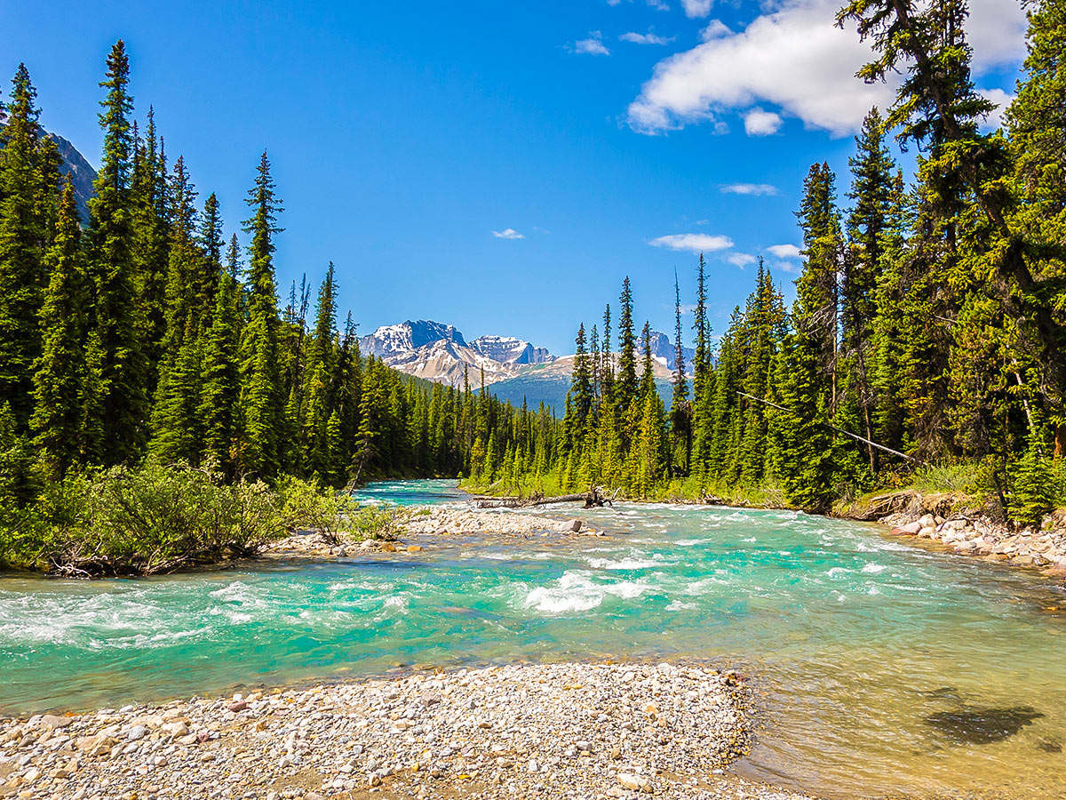 Family friendly route of Maligne Pass and Replica Peak backpacking trail in Jasper National Park