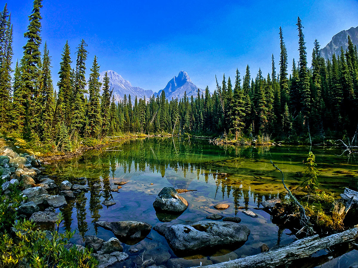 Clear Pond and Blackhorn Peak on Tonquin Valley backpacking trail in Jasper National Park