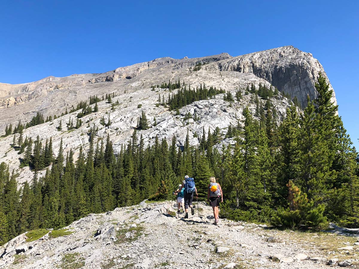 Ascending on East End of Rundle Route (EEOR) scramble in Canmore, Alberta