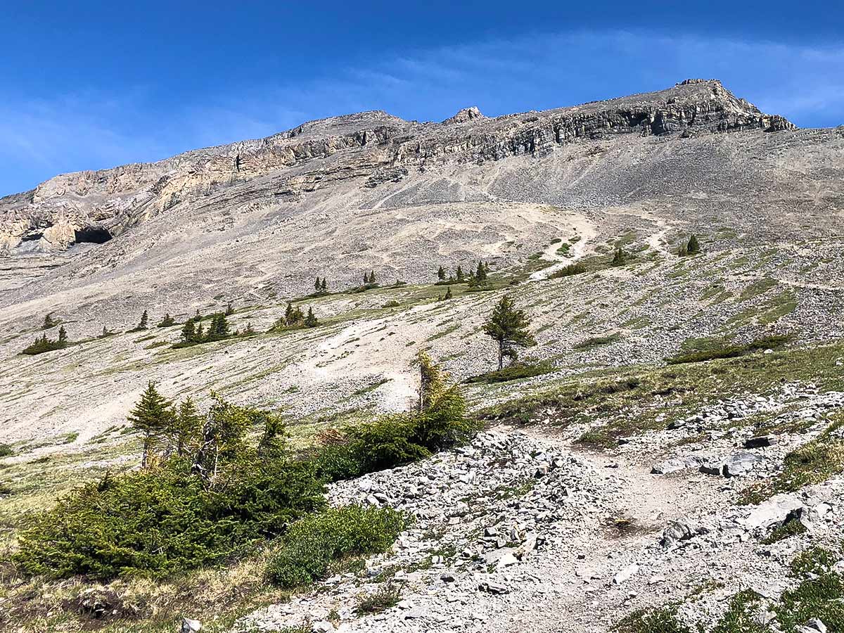 Scree path of East End of Rundle Route (EEOR) scramble in Canmore, Alberta