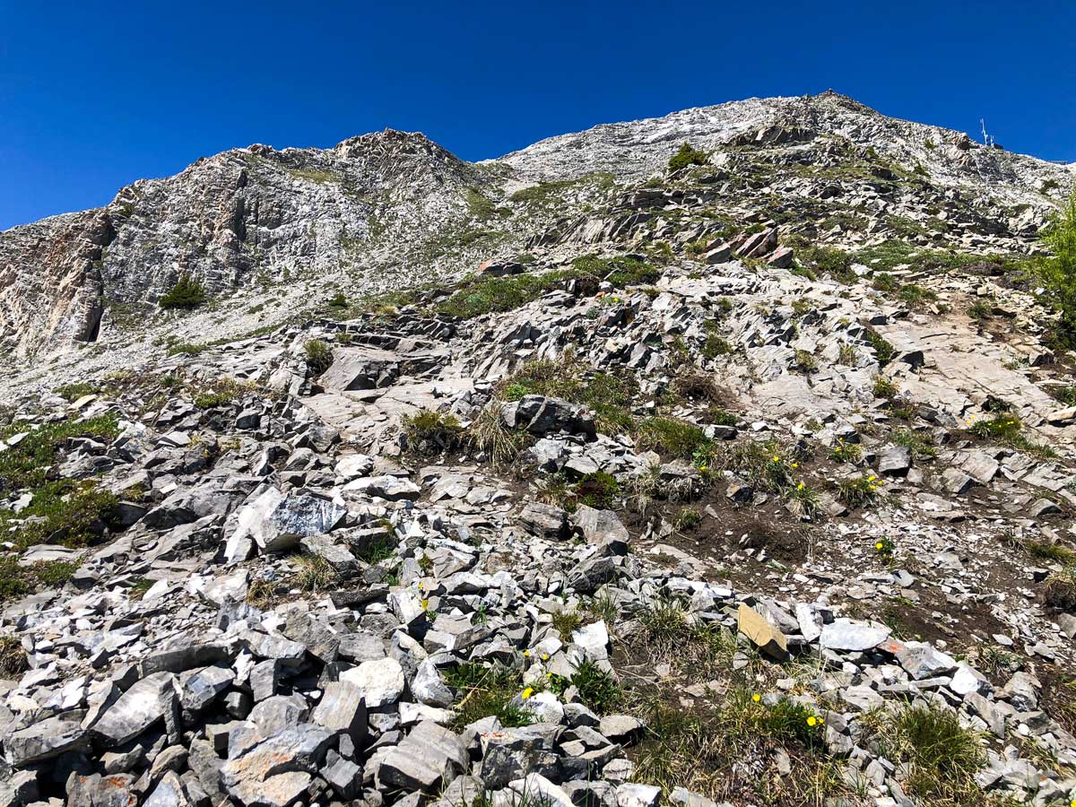 Scrambly path of Mount Indefatigable - South Peak scramble in Kananaskis near Canmore, the Canadian Rockies