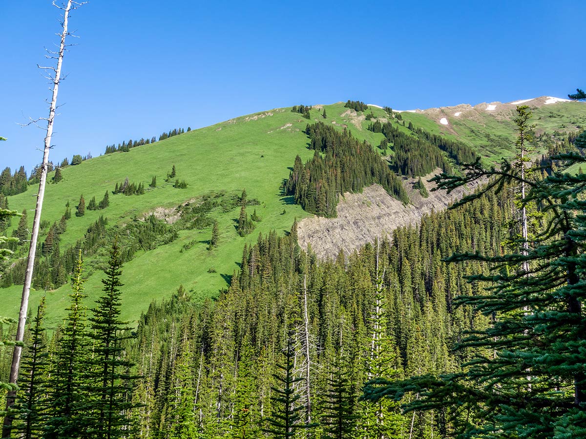 Beautiful hill on Mount James Walker scramble in Kananaskis near Canmore, the Canadian Rockies