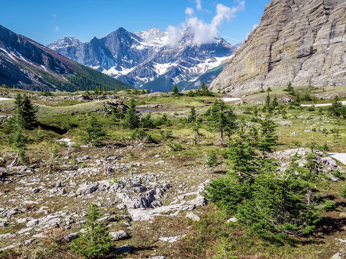 Views from Mount James Walker scramble in Kananaskis near Canmore, the Canadian Rockies