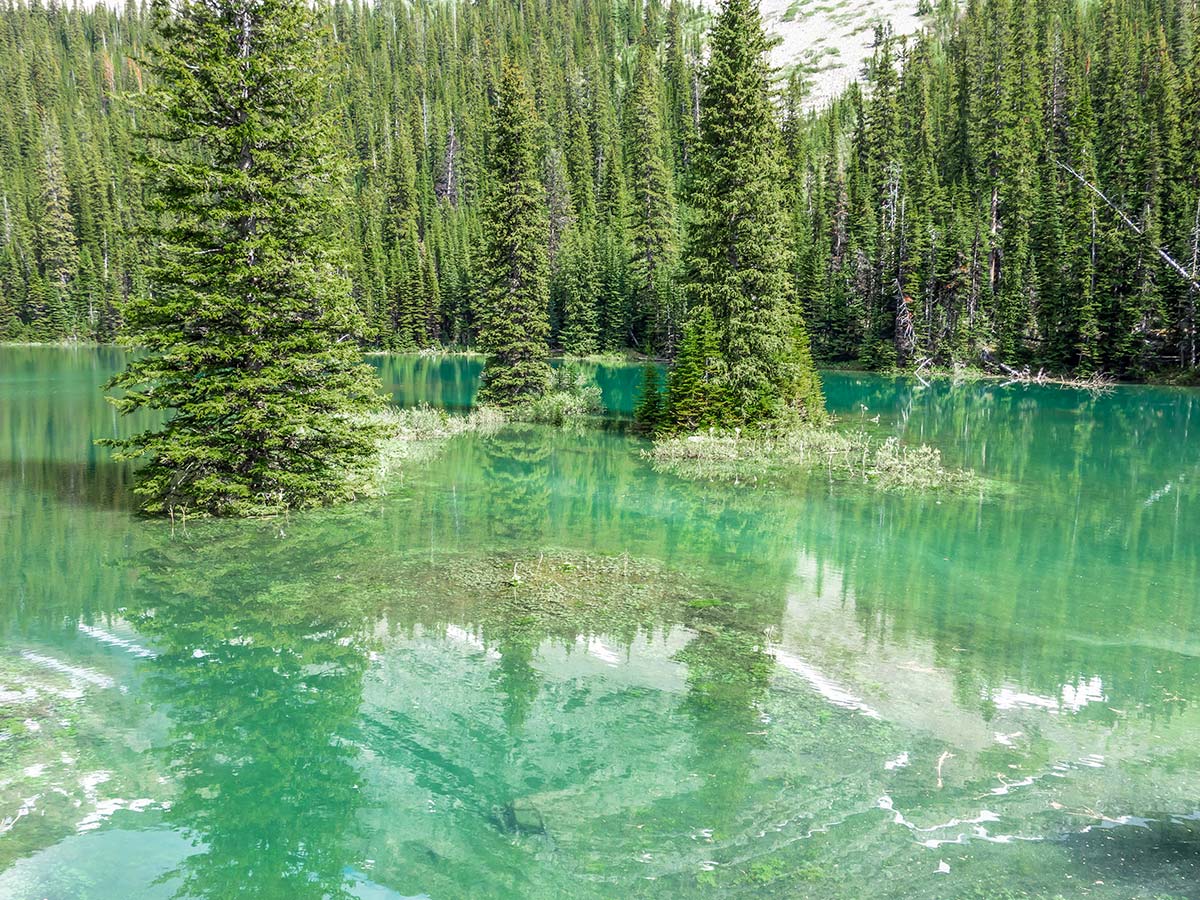 Stunning green water on Mount James Walker scramble in Kananaskis near Canmore, the Canadian Rockies