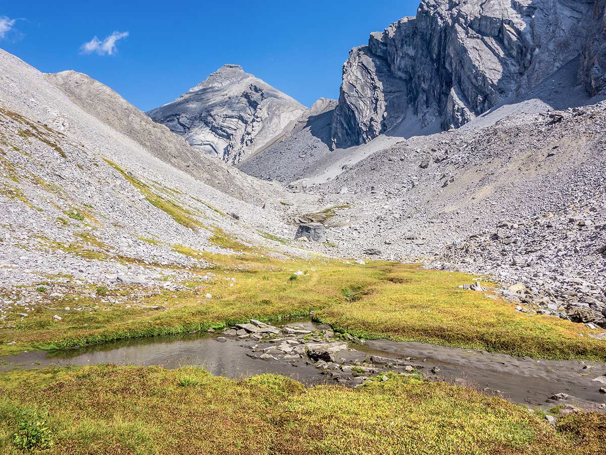 A small oasis below The Fortress scramble in Kananaskis near Canmore, the Canadian Rockies