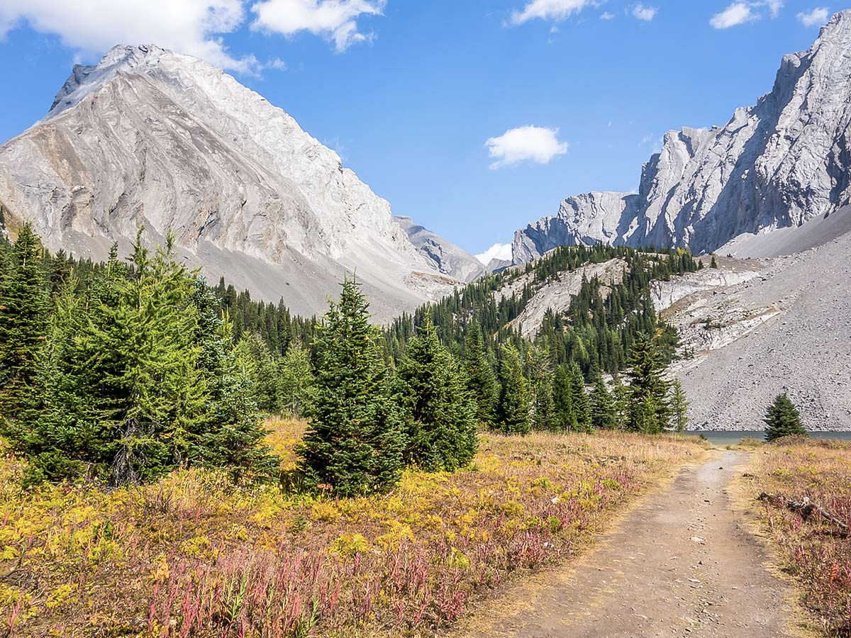 The Meadows around Chester Lake on The Fortress scramble in Kananaskis near Canmore, the Canadian Rockies