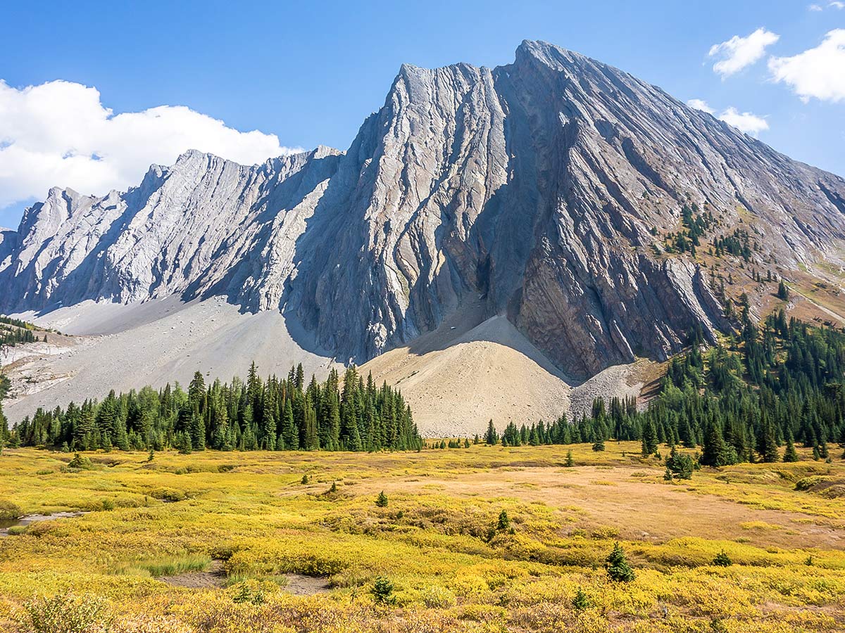 Amazing colours on The Fortress scramble in Kananaskis near Canmore, the Canadian Rockies