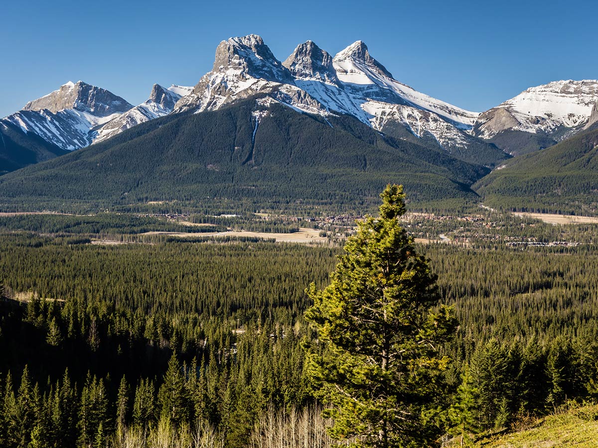 View of Three Sisters on Grotto Mountain scramble in Canmore, the Canadian Rockies