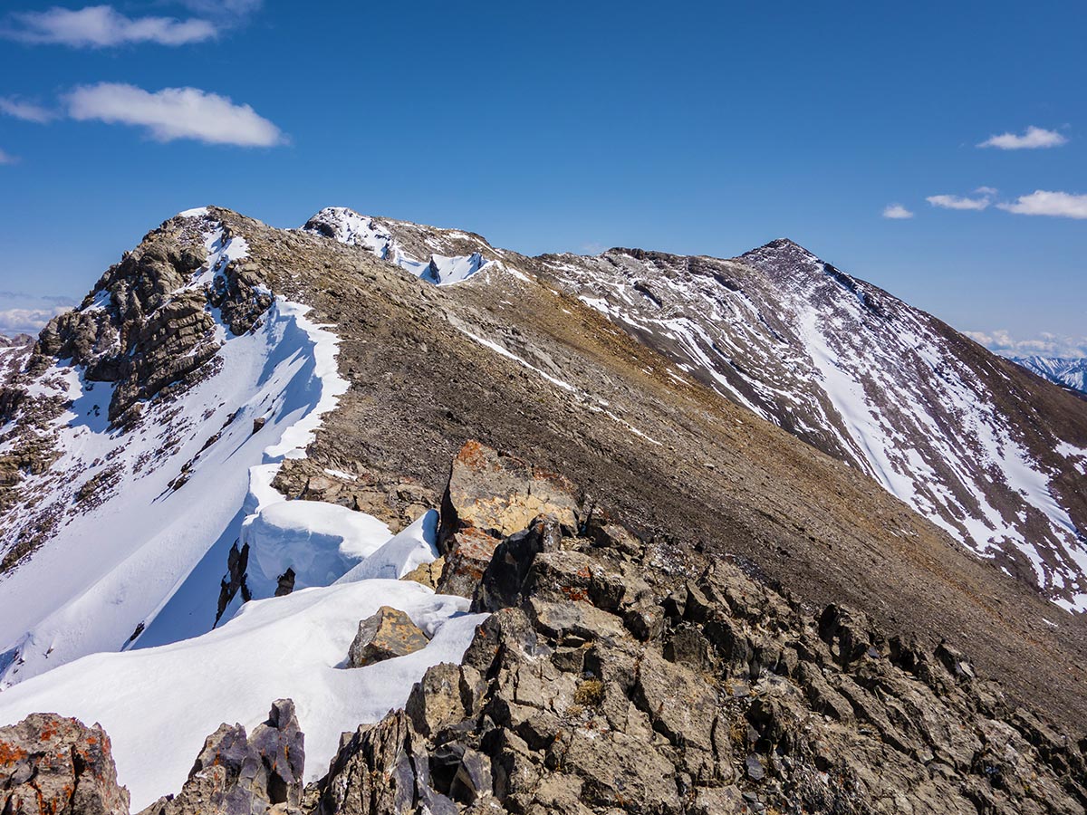 Grotto Mountain scramble in Canmore has beautiful panoramas