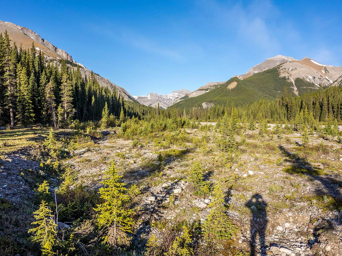 Trail of Mount Howard scramble in Kananaskis near Canmore, the Canadian Rockies