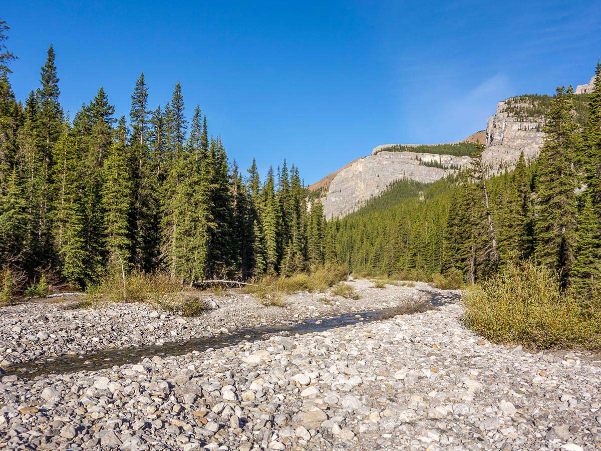 Creek on Mount Howard scramble in Kananaskis near Canmore, the Canadian Rockies