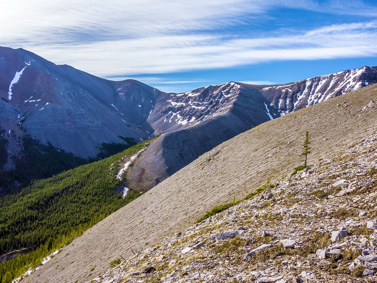 Slope on Mount Howard scramble in Kananaskis near Canmore, the Canadian Rockies