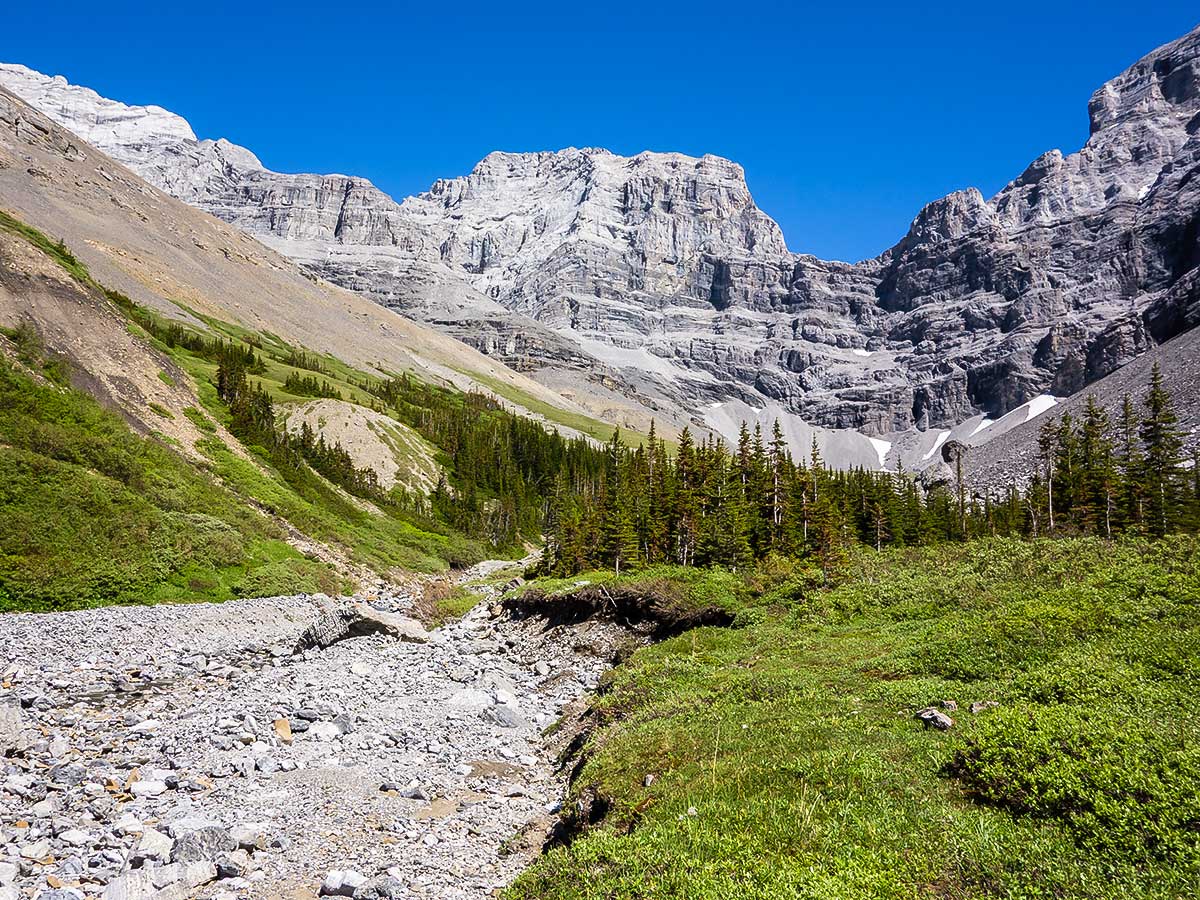 Spencer Creek meadows on Mount Lougheed scramble in Kananaskis near Canmore, the Canadian Rockies