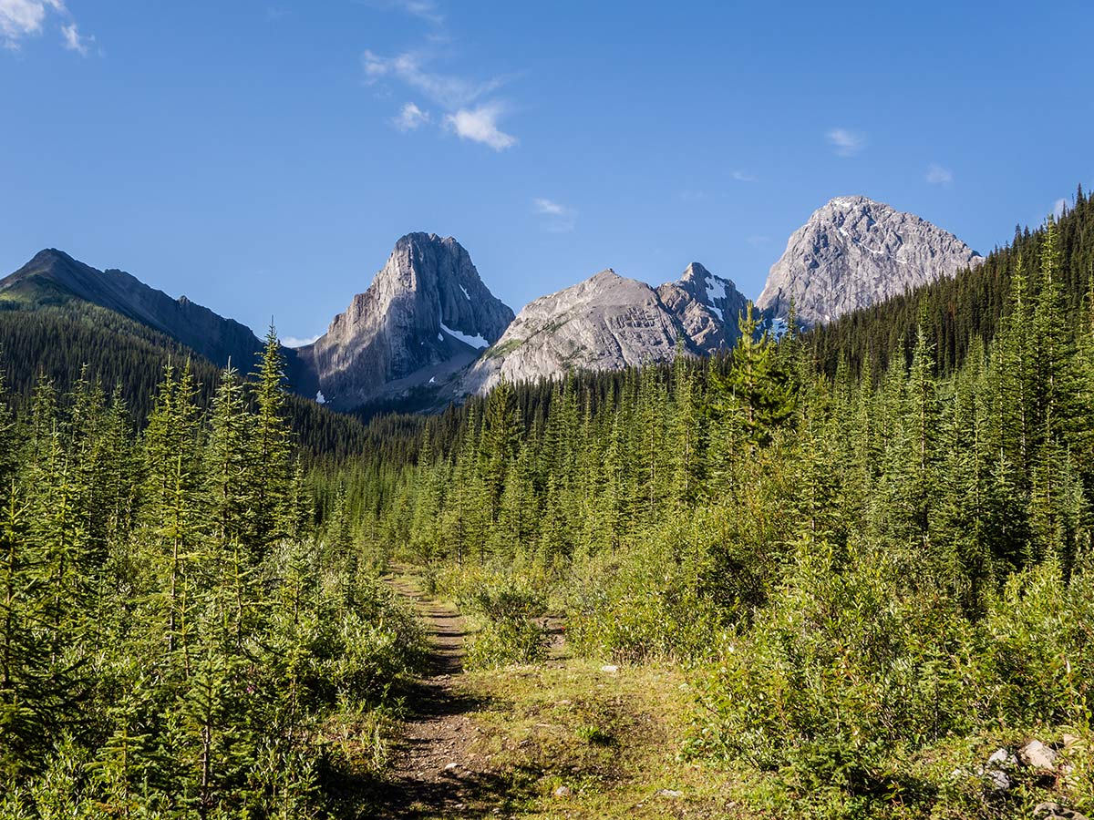 Walking along the logging road on Smutwood Peak scramble in Kananaskis near Canmore, the Canadian Rockies