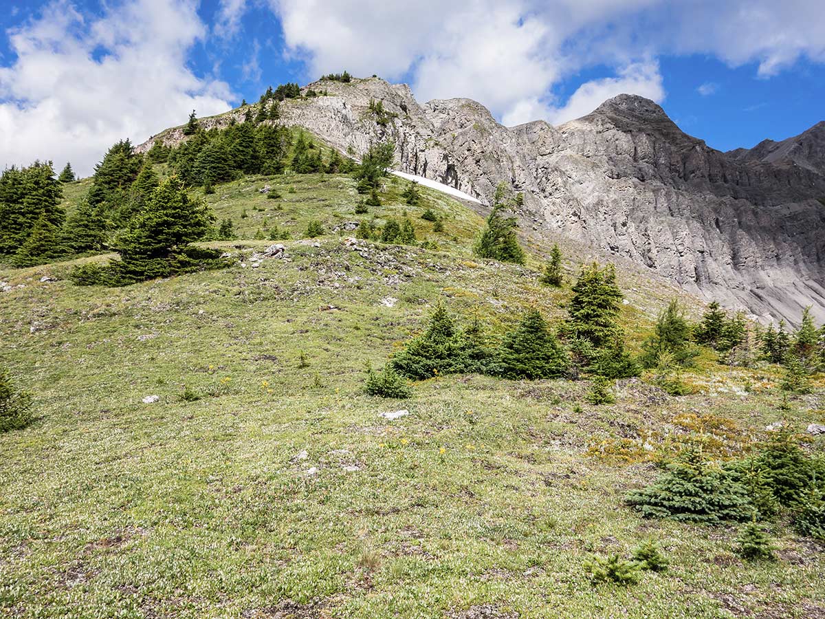 Trail up Smutwood Peak scramble in Kananaskis near Canmore, the Canadian Rockies