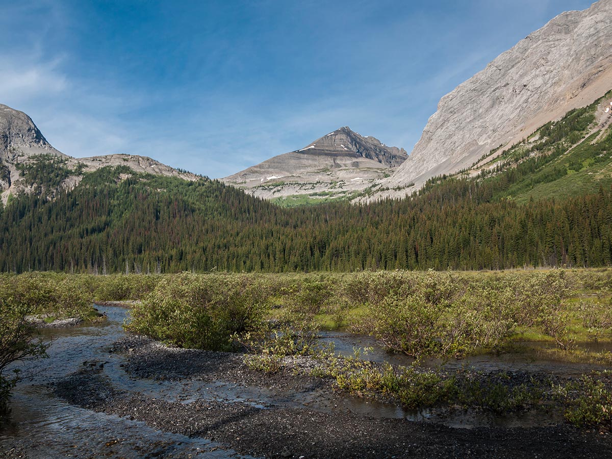 Views from Snow Peak scramble in Kananaskis near Canmore, the Canadian Rockies