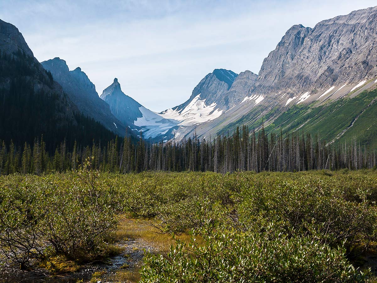 Robertson Glacier on Snow Peak scramble in Kananaskis near Canmore, the Canadian Rockies