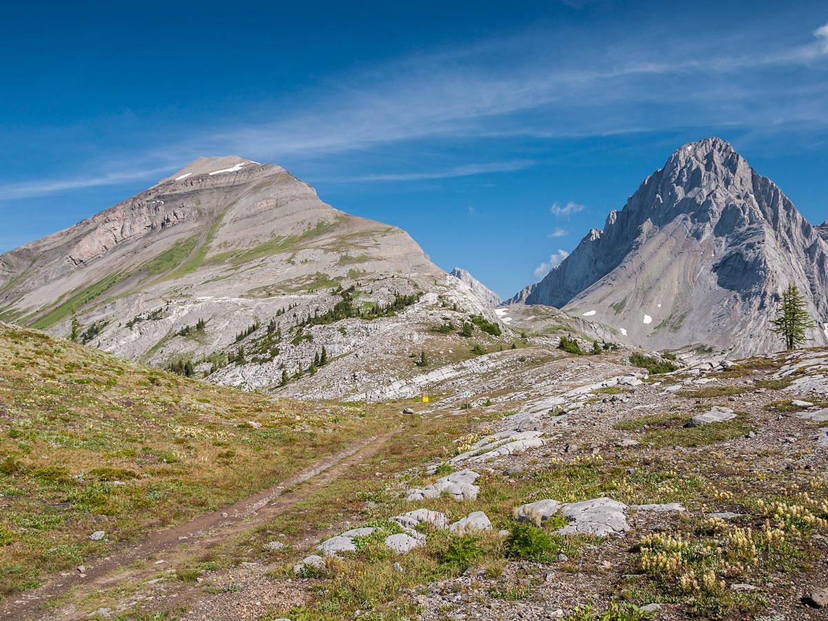 View from Burstall Pass on Snow Peak scramble in Kananaskis near Canmore, the Canadian Rockies